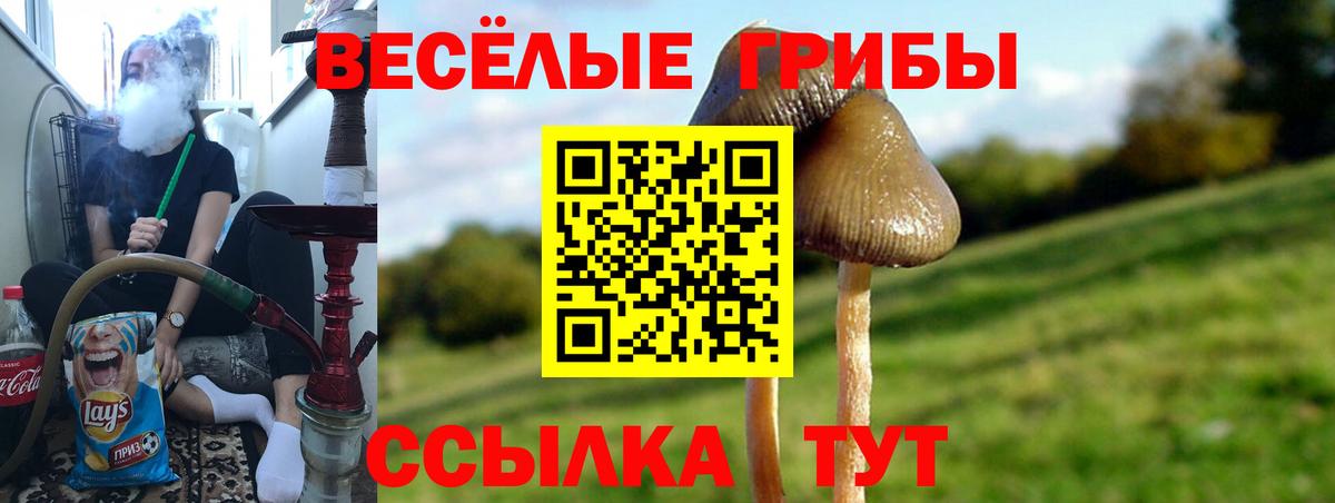 Галлюциногенные грибы мухоморы Великий Новгород